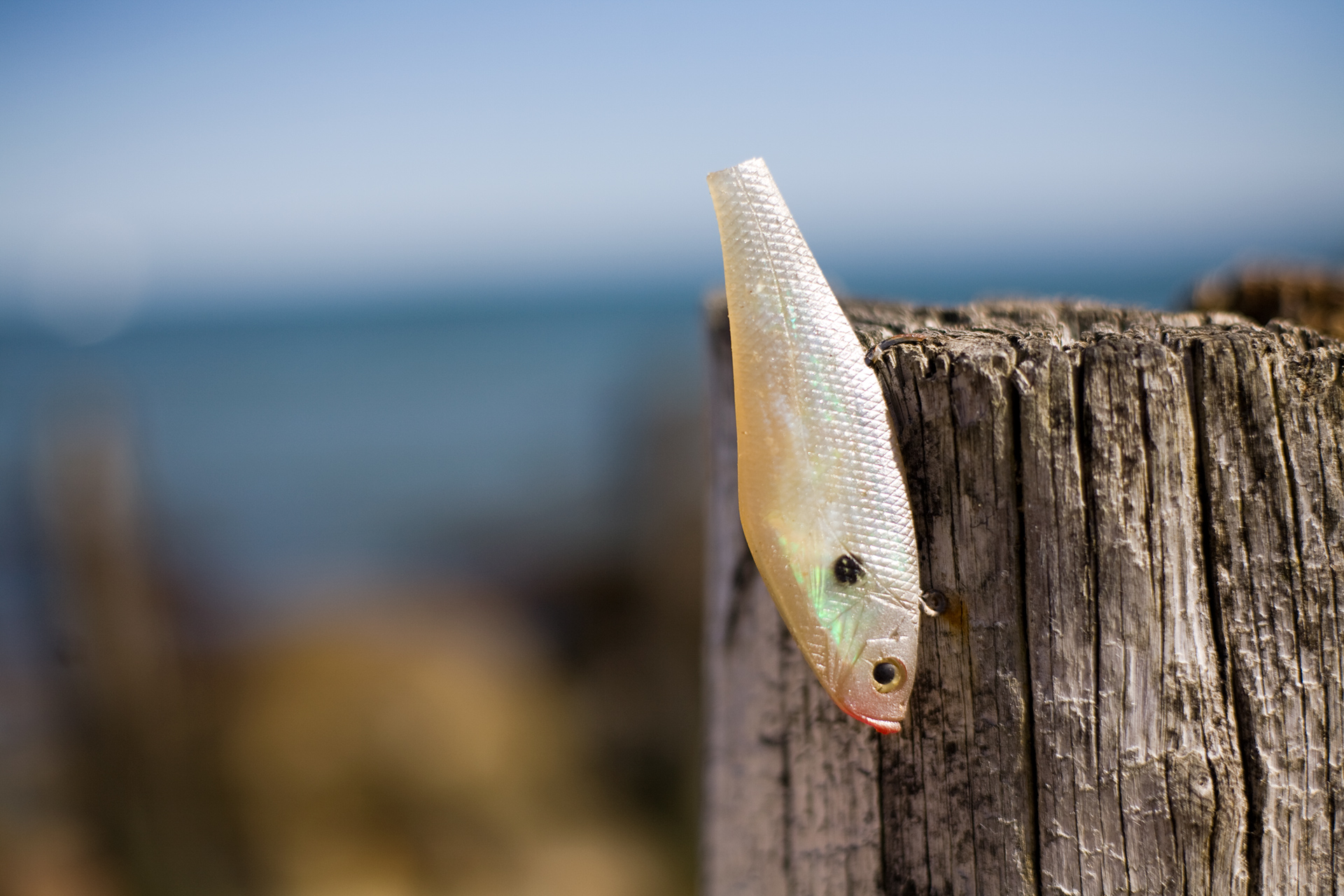 Fish on a Pile
